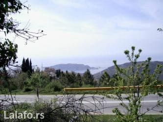prodaja kuca zajecar: 432 ares, Građevinarstvo, Vlasnik — 3