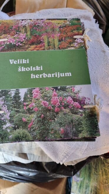 pepco podna lampa: Bоја - Šareno, Novo — 7