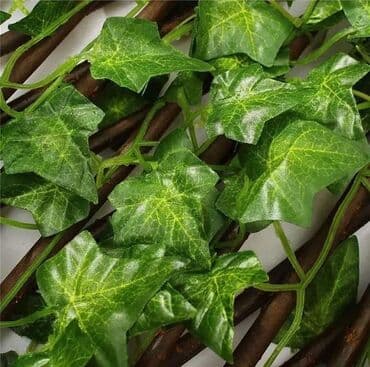 sobna vrata kikinda: NOVO️Ograda na razvlačenje .�Kvalitetni materijali: ograda je — 1