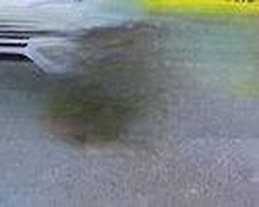 auto otpad ruma: KUTIJA OSIGURACA ZA FORD FOCUS OD 2004. DO 2007. GOD. | SMEDEREVSKA — 1