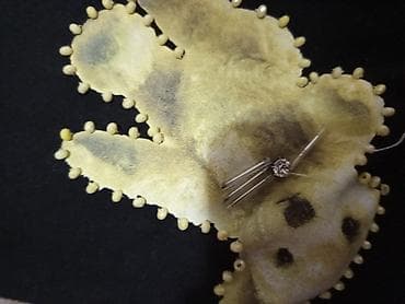 dukserice: Krop topovi sa rukavima. Motivima dominiraju medvedi različitih boja i — 4