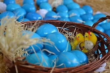 Ureznice: Boja za uskršnja jaja “PALETA 7” - Namena: prehrambena boja za na lalafo.rs — 5 Ureznice: Boja za uskršnja jaja “PALETA 7” - Namena: prehrambena boja za — 5