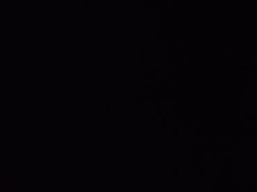 Sweatpants: Ručni aranžmani od plišanih žičica u saksiji - Dekorativni cvetni — 1