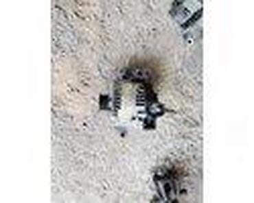 kardan za auto: ALTERNATOR KA DURATEK ZA FORD KA OD 2002. DO 2006. GOD. | Polovni — 1