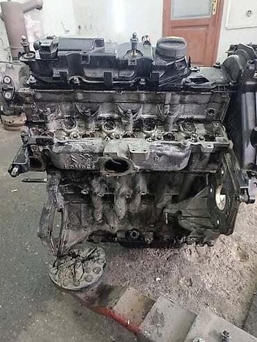 nalepnice za retrovizore: Volkswagen — 4