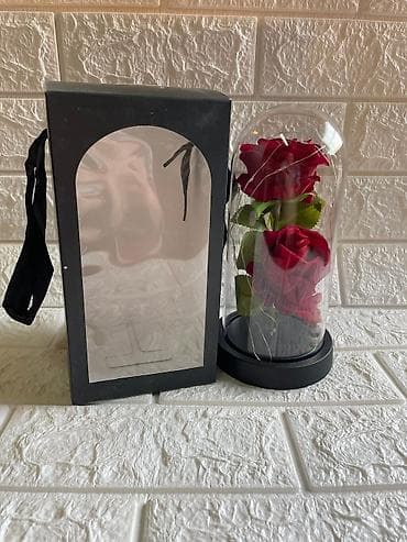 patike za tenis: Večna ruža u staklenom zvonu sa led lampicom Cena:1800din 🌹✨ ČAROBNA — 7