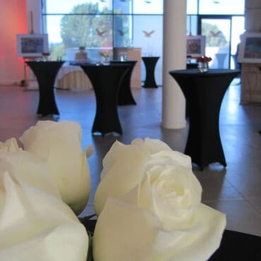 Entertainment: Entertainment | Animators, Event decoration, Decorative letters — 9