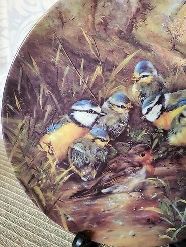 ukrasno cvece: Tanjir nov za na zid 1995g Seltmann Weiden Nemacka. Tanjir — 8