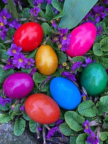 fotelje za devojcice: 🪺Kao i prošle godine ponovo u ponudi Makedonske boje za jaja “PALETA7” — 5