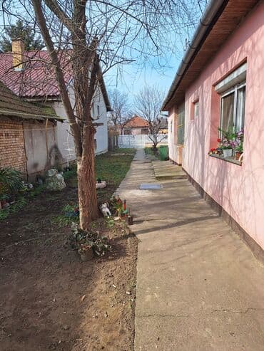 kuce na selu: 65 kv. m, 2 sobe — 4