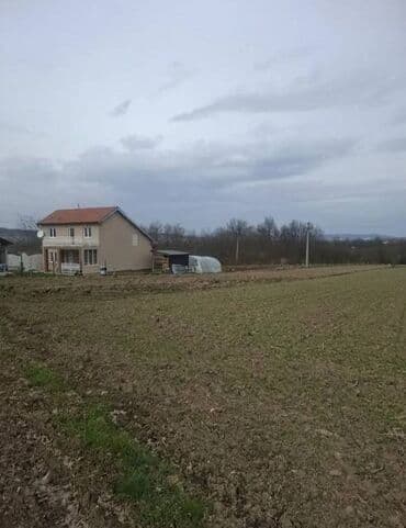 stanovi za izdavanje u nisu: 38 ares, Vlasnik — 1