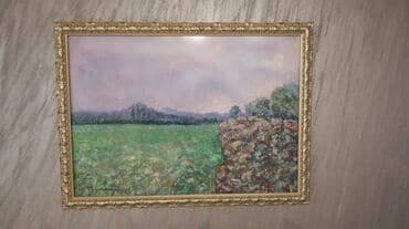 dormeo prekrivac 2 u 1: Slika, 78 x 56 cm, Upotrebljenо — 2