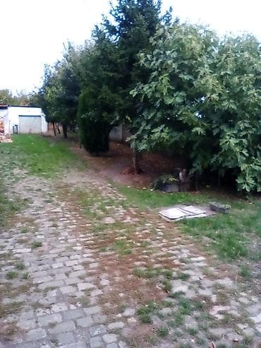 palačinkara kod bake: Poslovni prostor sa dvorištem i stambenim prostorom i bašton - — 3