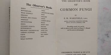 the first frost sa prevodom: Knjiga:The Observers Book of Common Fungi (O gljivama) format 15 cm — 2