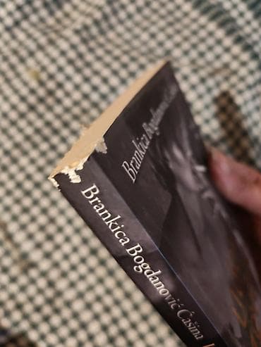 bogner beograd: Knjiga: Udovica Zevedejev – Brankica Bogdanović Ćašina - Izdavač — 2