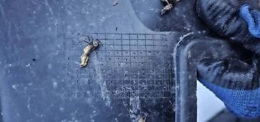 spajalice za plastiku: Volkswagen — 1