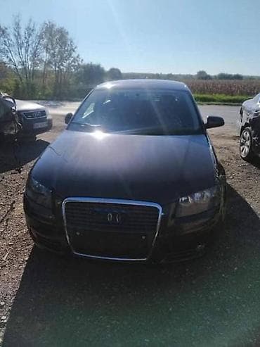 auto crni leskovac: LIMARIJA MEHANIKA TRAP ITD ZA AUDI A3 OD 2003. DO 2008. GOD. | AUDI — 1