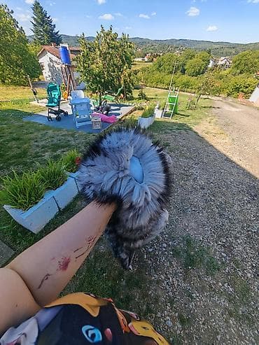 Jakna ima oštećenje na krznu, rašiven šav na lalafo.rs Jakna ima oštećenje na krznu, rašiven šav