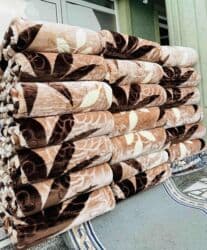 Houseplants: Size - Double — 4