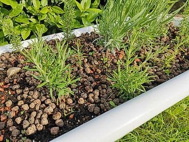 pec sa rernom na drva: Žardinjera kada retro odvod ruzmarin i lavanda hidro granule — 2