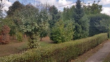 Kuće na prodaju: 72 kv. m, 2 sobe — 11