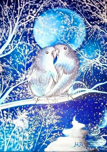 idea jelke cena: Slika, 50 x 60 cm, Novo — 8