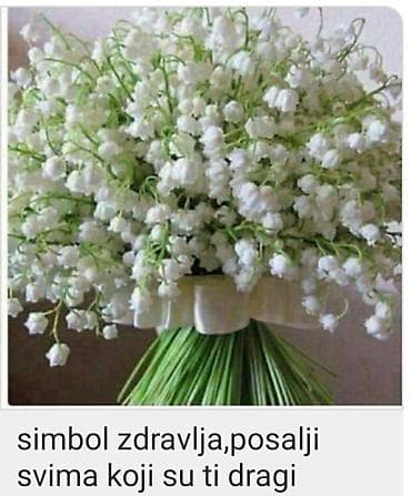 Buket đurđevka (Convallaria majalis) – elegantna aranžmanska