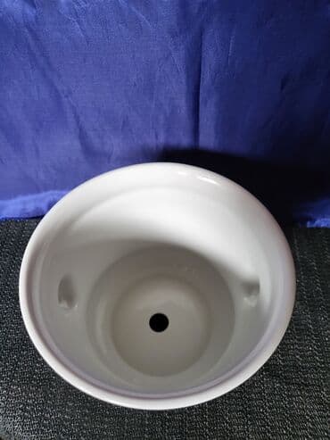 porcelanske solje za caj: Saksija nova Vohenstrauss J.Seltmann Bavaria. 1950g +. Porcelanska — 3