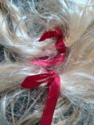 max naocare za sunce: Prodajem svetloplavu perikudugačkusa crvenim mašnicama . Nema — 8