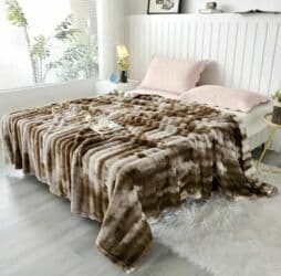 Houseplants: Size - Double — 1