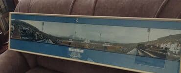 Houseplants: Print, 34 x 140 cm, Used — 5