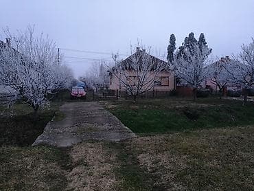 kovin stanovi izdavanje: INVESTICIONI PLAC SA POSLOVNIM POTENCIJALOM – 1091 m² (20 x 56 m) Ne — 3