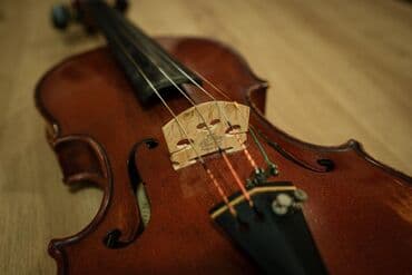 Bike accessories: Violina 4/4 sa gudalom - Klasična violina pune veličine (4/4), toplog — 2