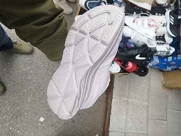 skechers sunjalice: Skechers patike NOVO Novo Brojevi 36 do 41 fb Moja Kupovina 1 — 3