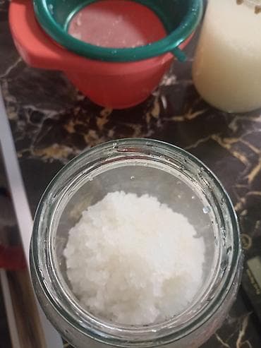 sat sa slikom po zelji: Vodom kefir – kulturi zrnaca (Tibicos) za pripremu fermentisanog — 4