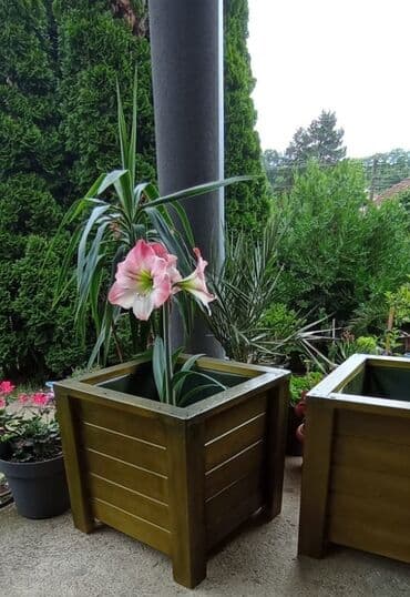 tornado za pranje auta: Jardinière, New, Paid delivery — 11