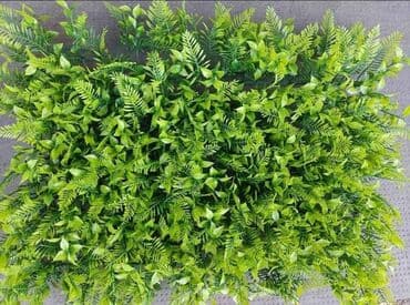 stolicice za terasu: Vastacko zelenilo paneli zeleni zid za baste terase paravan 1600 din — 2