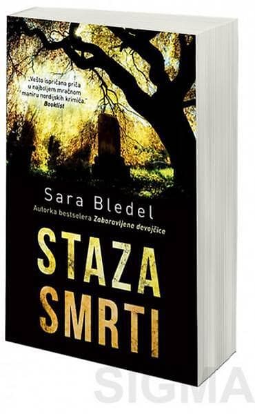 Knjige, audio i video formati: Nestanak dečaka nakon inicijacije u stilu staroskandinavske mitologije — 1