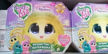 toy poodle srbija: Ponovno dostupni
1999 din — 2