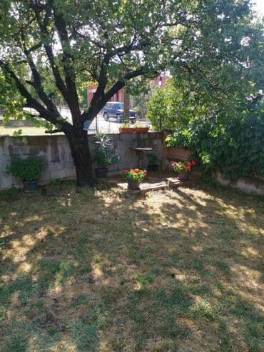 dobos kuce golubinci: 80 sq. m, 2 bedroom — 10