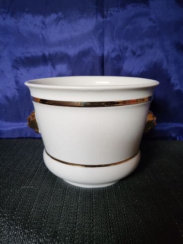 porcelanske solje za caj: Saksija nova Vohenstrauss J.Seltmann Bavaria. 1950g +. Porcelanska — 1