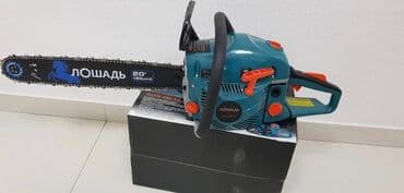 ruska motorna testera: -- Motorna testera Lošad ( Ruska ) -- - Izuzetno kvalitetna Ruska — 1