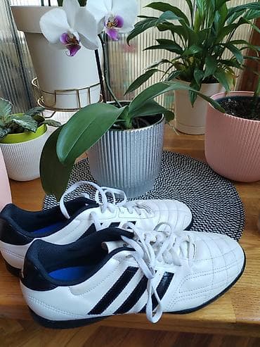 Kopačke: Adidas fudbalske patike za travnate/veštačke podloge (TF, “turf”) - — 5