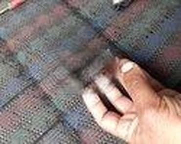 servisna kartica vozila: PREKIDAČ PODIZAČA STAKLA ZA PEUGEOT 206, 306 OD 1996. DO 2002. GOD. | — 2