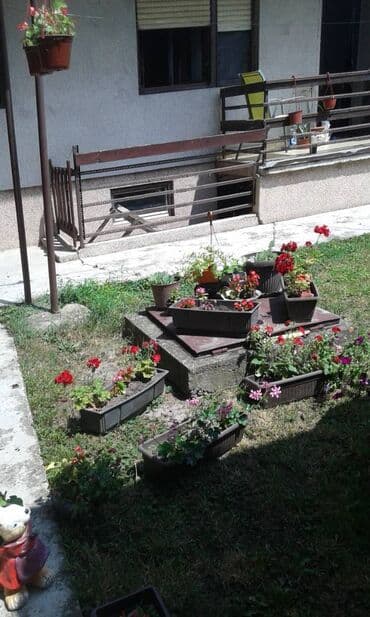 Kuće za izdavanje: 42 kv. m, 2 sobe — 9