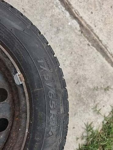 tečna guma: SAVA 175/65 R14 LETNJA | Gume idu sa felnama citroen,pezo — 5
