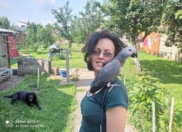 Glodari: Povodci za papagaje – sigurnost, sloboda i poverenje u jednom! — 8