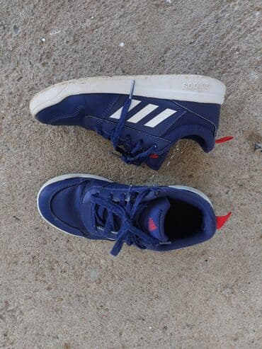 wintro patike: Trainers, Adidas, size - 36 — 1