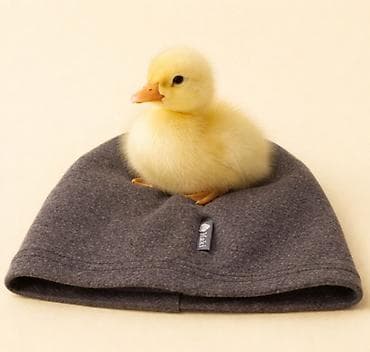 Kape: One size, bоја - Siva — 9