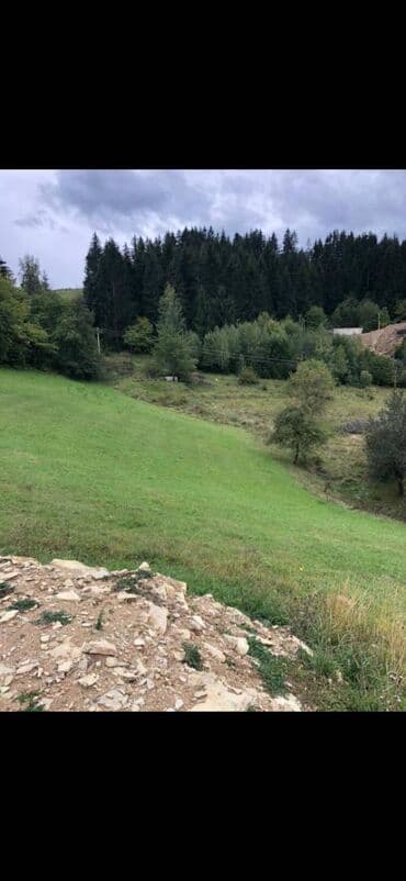 Nekretnine: 10 ares, Vlasnik — 2